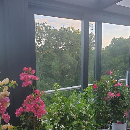 Cozy Room With A Beautiful Garden View Baunatal Exterior foto