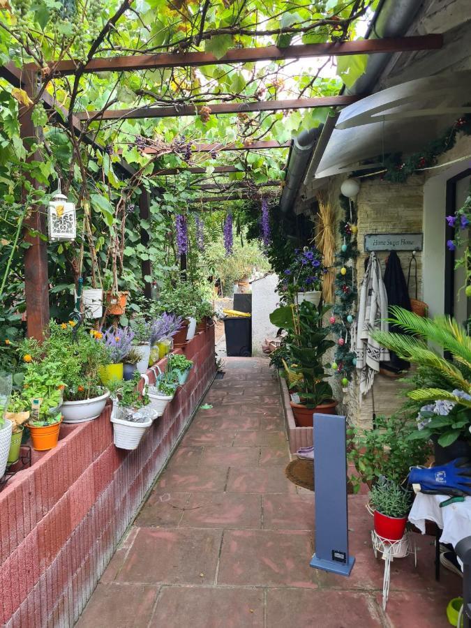 Cozy Room With A Beautiful Garden View Baunatal Exterior foto