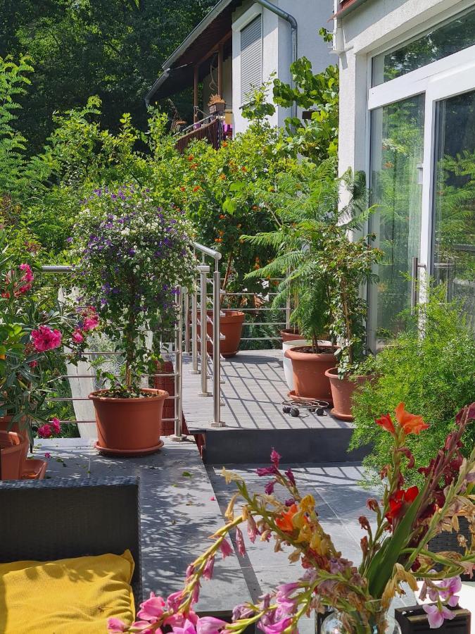Cozy Room With A Beautiful Garden View Baunatal Exterior foto