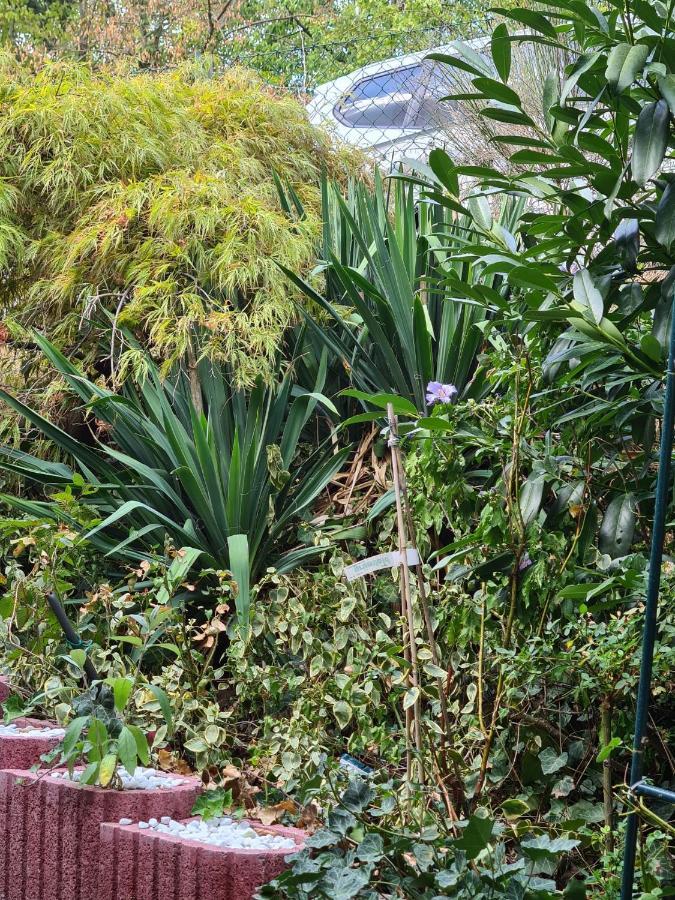 Cozy Room With A Beautiful Garden View Baunatal Exterior foto