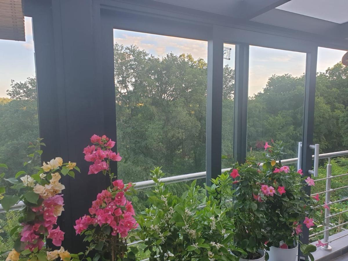 Cozy Room With A Beautiful Garden View Baunatal Exterior foto